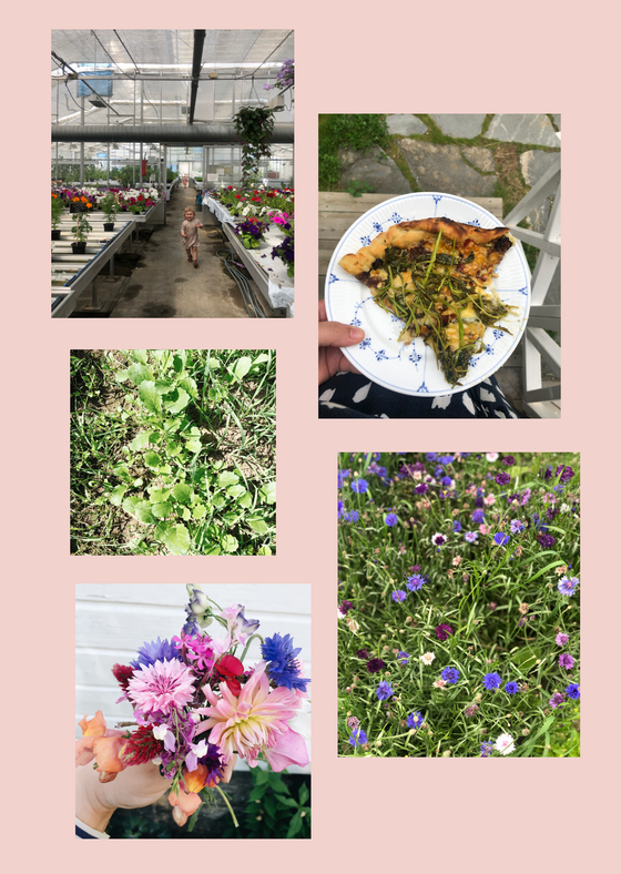 Vår 2021 (digitalt produkt)