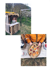 SOMMAR 2020 (digitalt produkt)